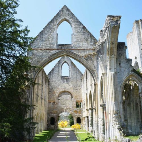 Photo de Abbaye de Jumièges