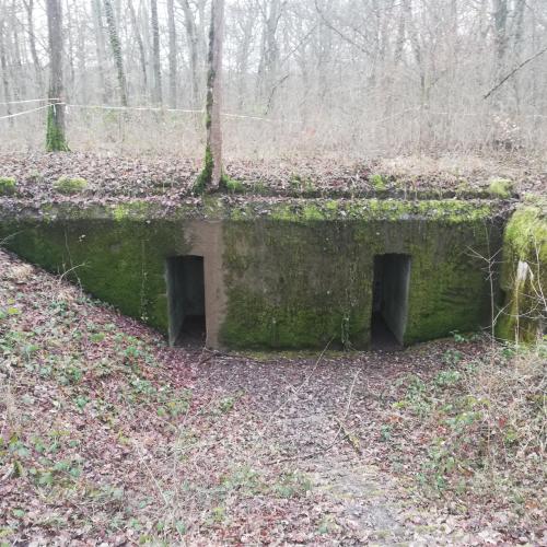 Photo de Bunker Allemand bois de Terville