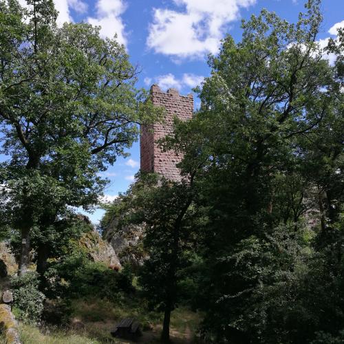 Photo de Balade aux trois châteaux de Ribeauvillé