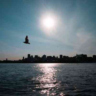 Photo de Parc Jean Drapeau