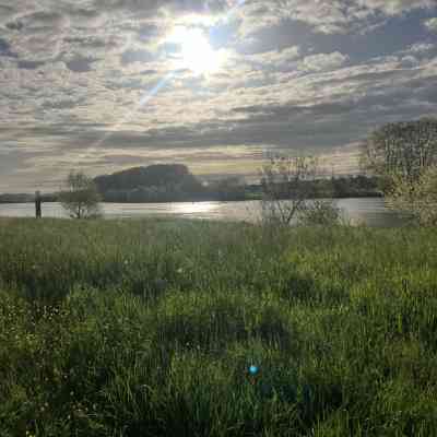 Photo de Bord de Moselle run rive droite 