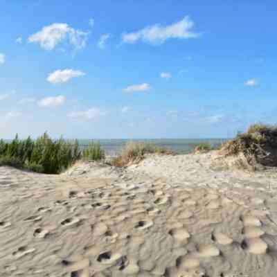 Photo de Dunes de Leffrinckouke