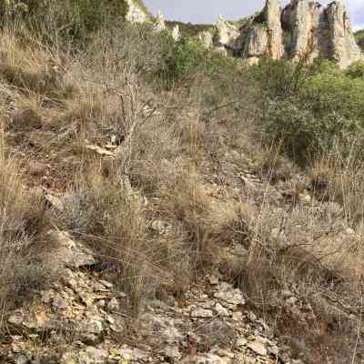 Photo de Les Causses Trail des templiers 