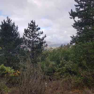 Photo de Les Causses Trail des templiers 