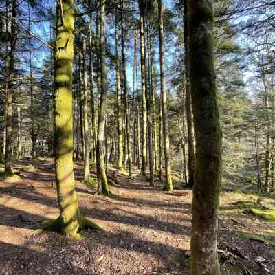 Photo de Gorges De Crosery