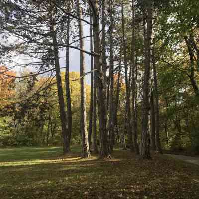 Photo de Parc Esch/Alzette