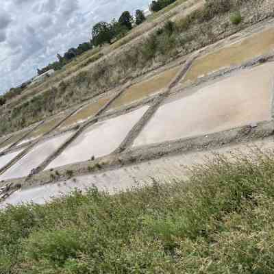 Photo de Le Paysan du Sel