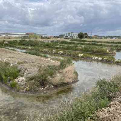 Photo de Le Paysan du Sel