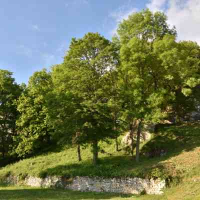 Photo de Sept roches dites "Les Dames de Meuse"