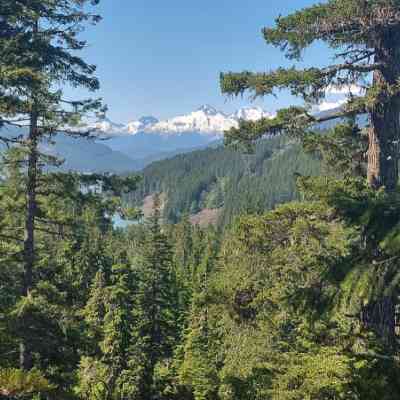 Photo de Randonnée à Whistler (station olympique)