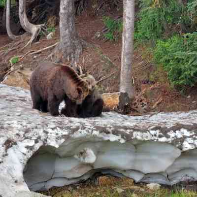 Photo de Grouse Mountain