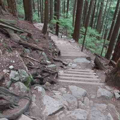 Photo de Grouse Mountain