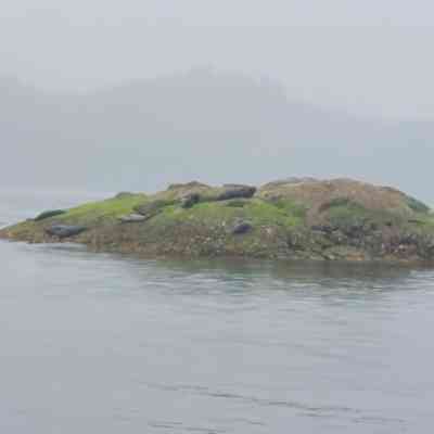 Photo de Baie de Tofino