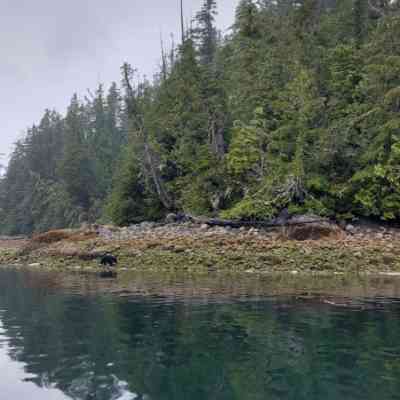 Photo de Baie de Tofino