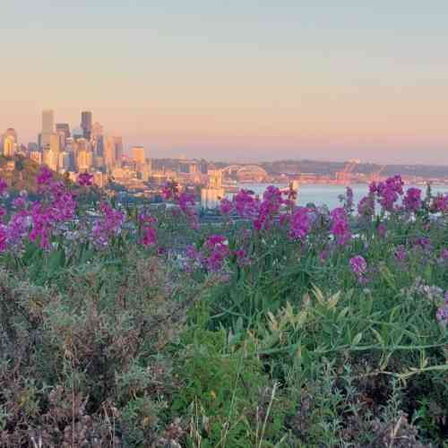 Photo de Vue imprenable sur Seattle 