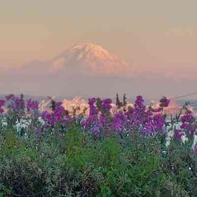 Photo de Vue imprenable sur Seattle 