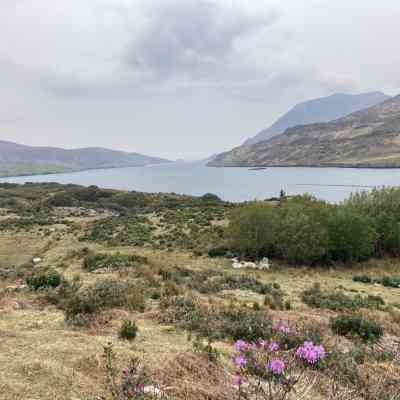 Photo de Connemara National Park - Diamond Hill