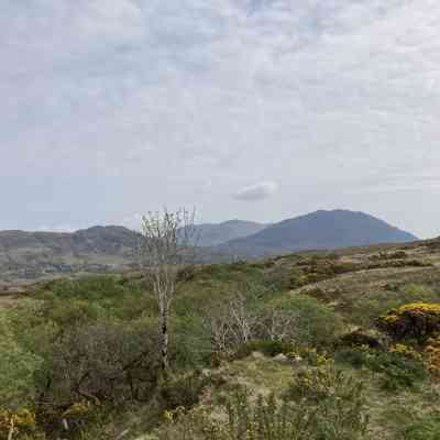 Photo de Connemara National Park - Diamond Hill