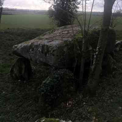 Photo de Dolmen de la Bigne