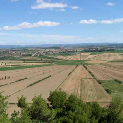 Photo de Oppidum D'Enserune