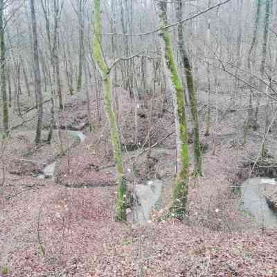 Photo de Méandres du Beerenweg