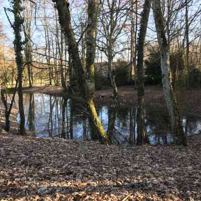 Photo de Château de Volkrange