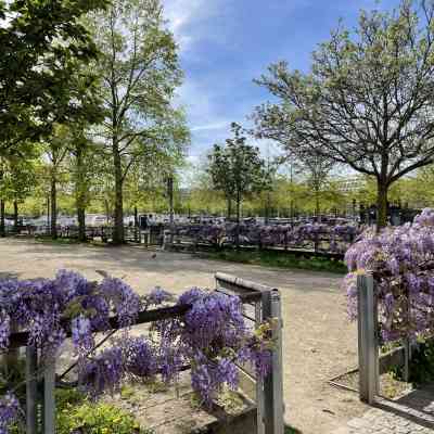 Photo de Jardin d’eau