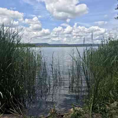 Photo de Lac de Madine