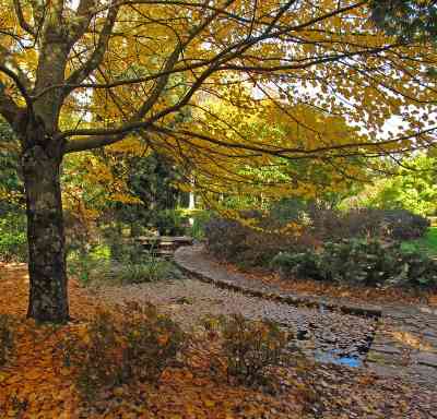 Photo de Jardin Botanique de Tours