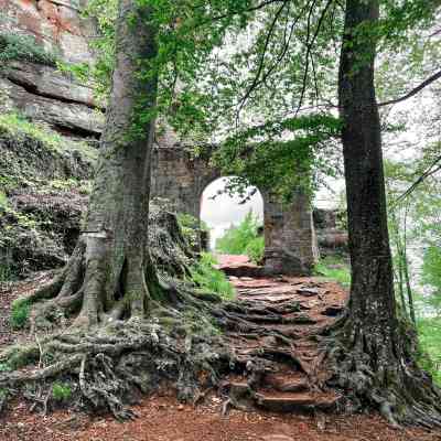 Photo de Château de Falkenstein