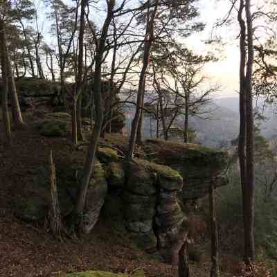 Photo de Rocher des Vosges 