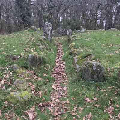 Photo de Dolmen de Mané Bogad