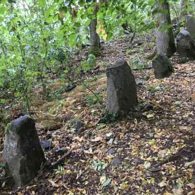 Photo de Alignement de l’Appenthal