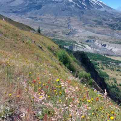 Photo de Mont St Helens 