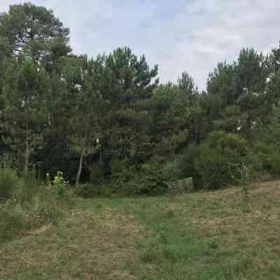 Photo de Forêt de chiberta