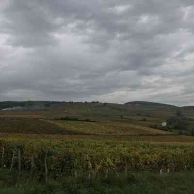 Photo de Vignes d’Igé