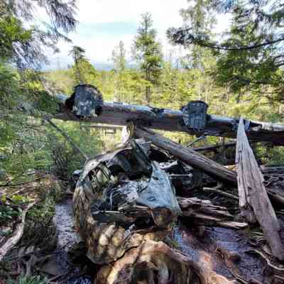 Photo de Crash d'un avion (Catalina)