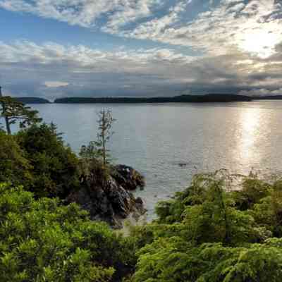 Photo de Plage Tofino 