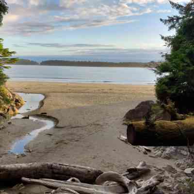 Photo de Plage Tofino 