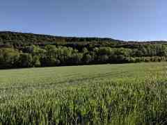 Photo de Chemin de balade saulny