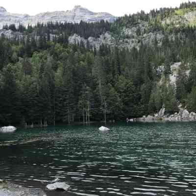 Photo de Lac vert 