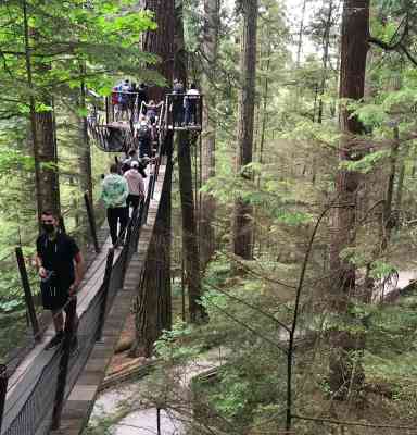 Photo de Capilano parc de ponts suspendus 