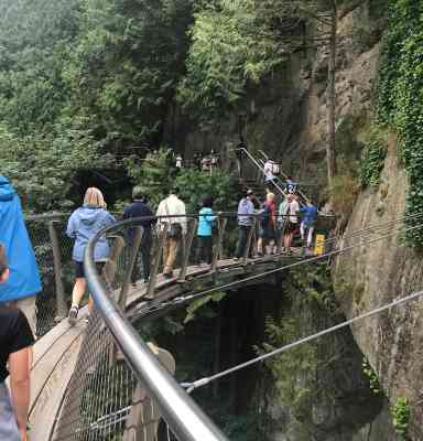 Photo de Capilano parc de ponts suspendus 