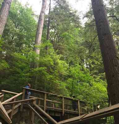 Photo de Capilano parc de ponts suspendus 