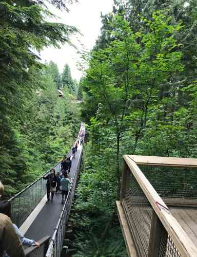 Photo de Capilano parc de ponts suspendus 