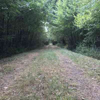 Photo de Forêt près de Jarny