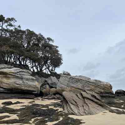 Photo de Plage des Dames