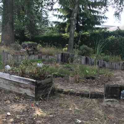 Photo de Jardin partagé des Capucines