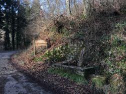 Source du mal au ventre