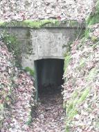 Bunker Allemand bois de Terville